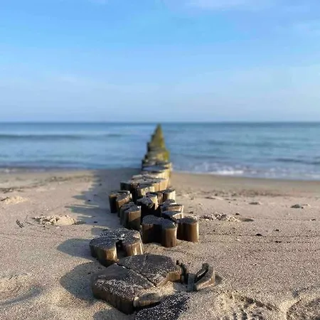 Sanddornidylle * Graal-Müritz