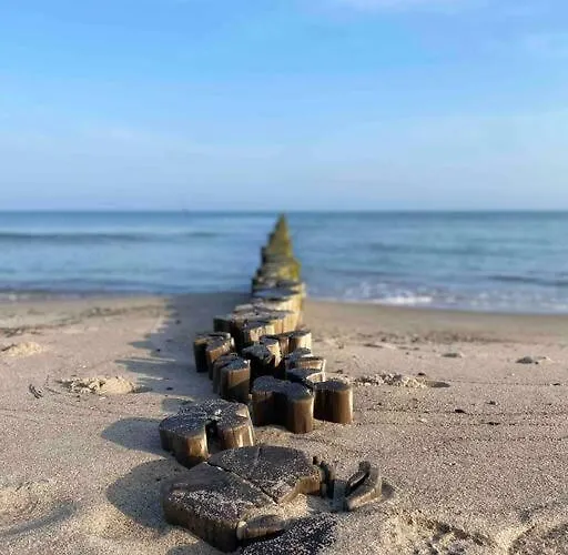 Sanddornidylle * Graal-Müritz